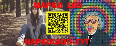 стаф Кинель