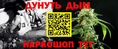 стаф Кинель