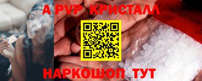 стаф Кинель