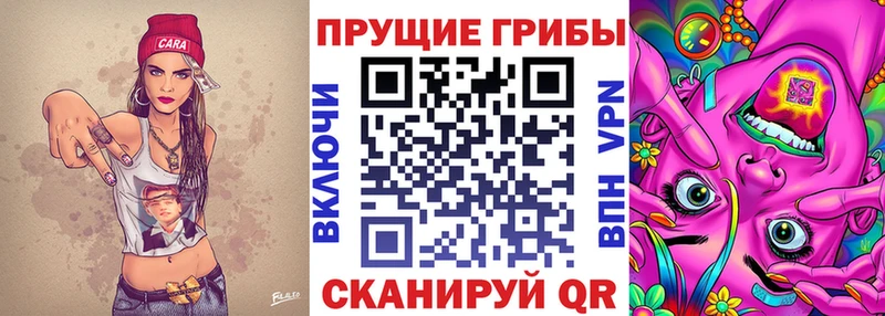 Псилоцибиновые грибы мицелий  mega ONION  Надым 