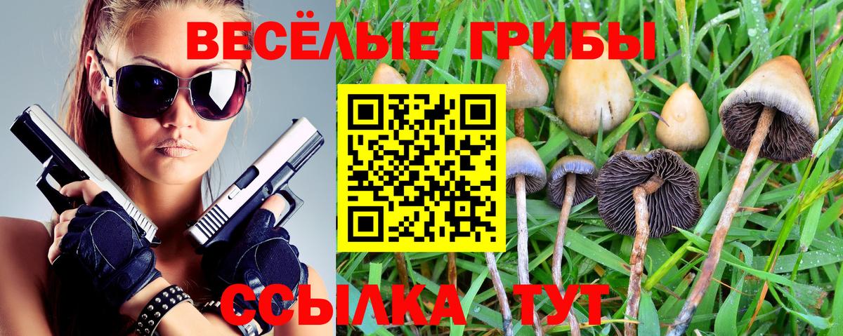 Псилоцибиновые грибы Magic Shrooms  Вход с VPN  Надым  Галлюциногенные грибы Psilocybe 